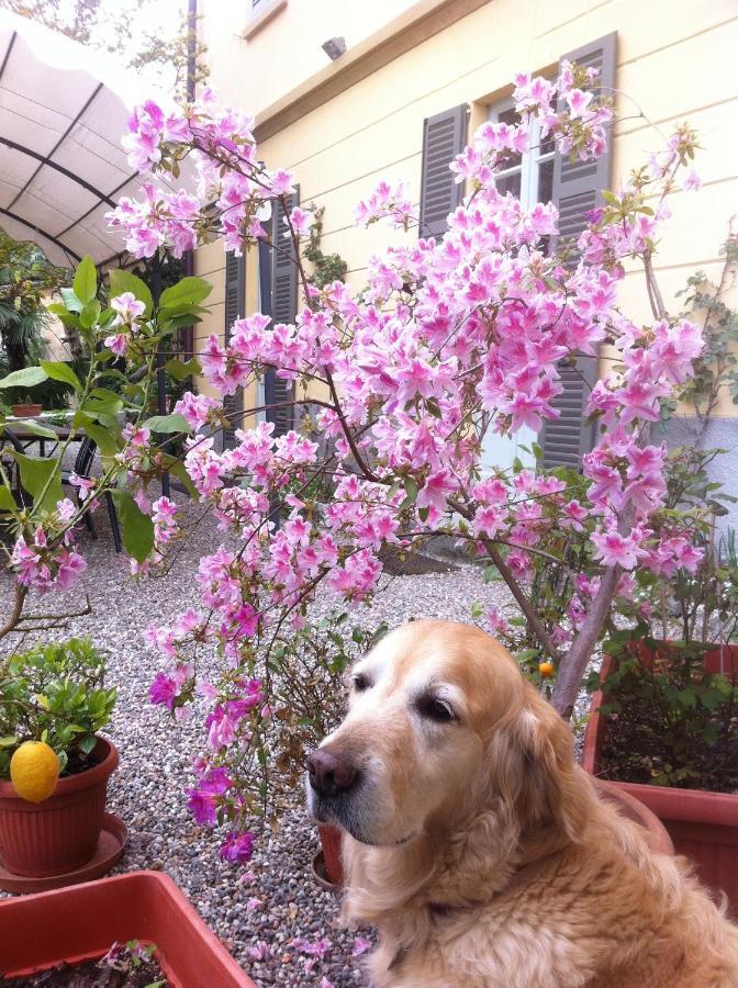 Guest House Villa Corti Como Exterior photo